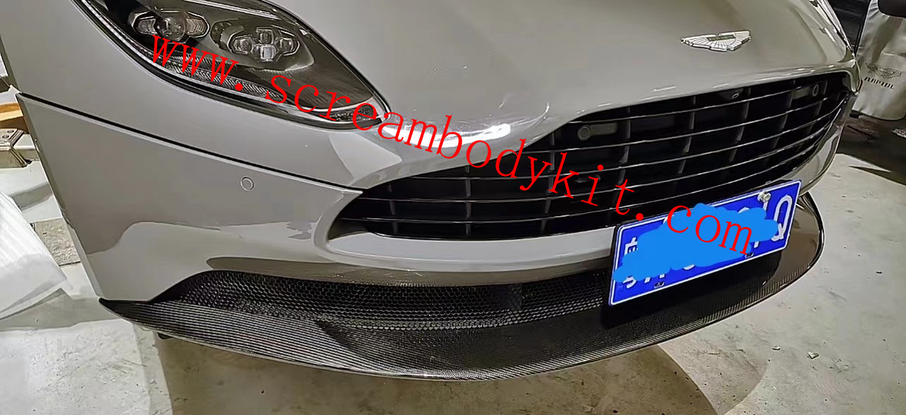 AstonMartin DB11 body kit front lip side skirts rear lip dry carbon fiber