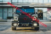 Mercedes-Benz G63 G500 Mansory wide body kit w464 P900