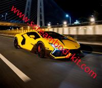 Lamborghini Revuelto Mansory body kit